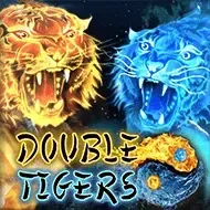 Double Tigers screenshot
